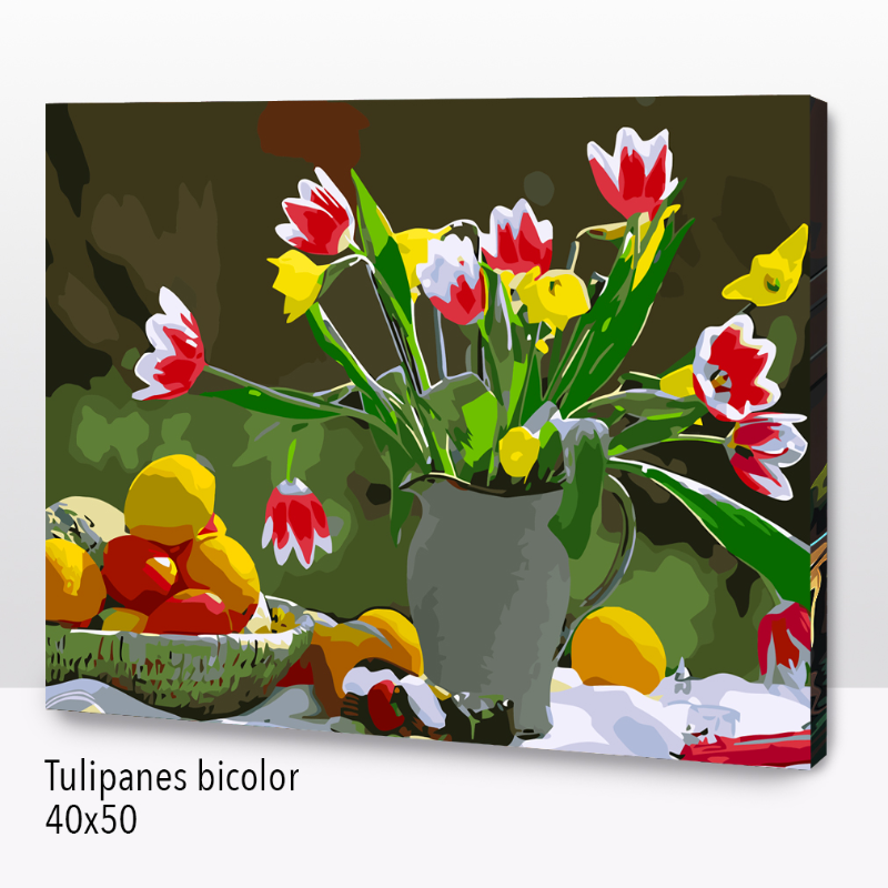 Kit Paint by number  Tulipanes bicolor  WC1011 Main Image